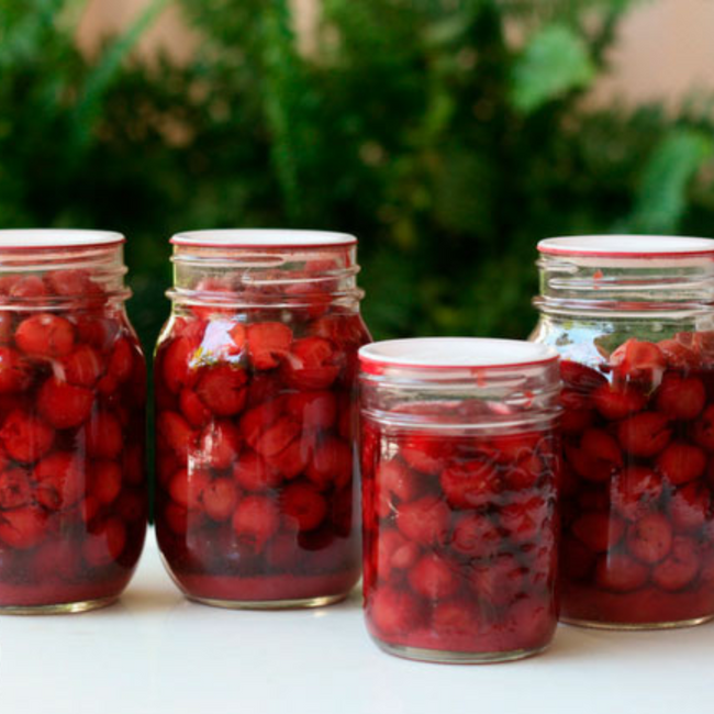 Canned Cherries