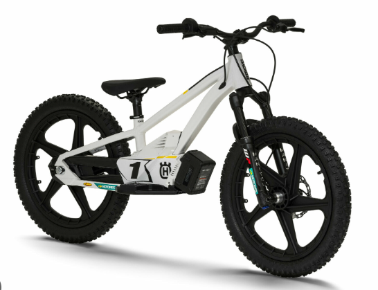 Electric Balance Bikes