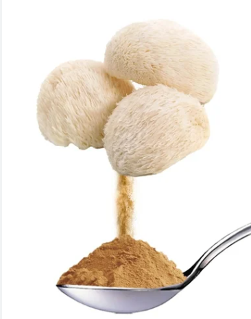 Lion's Mane Mushroom Extract