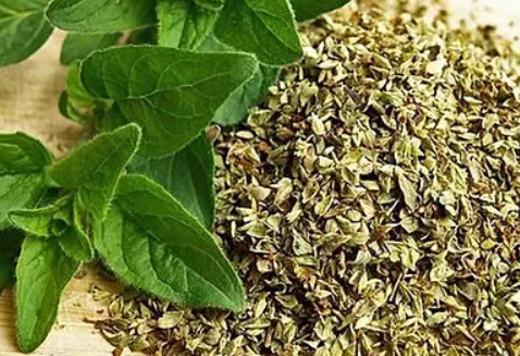 Oregano Seasoning