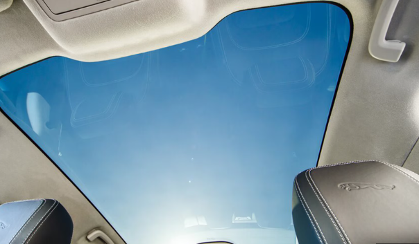 Fixed Panoramic Sunroof