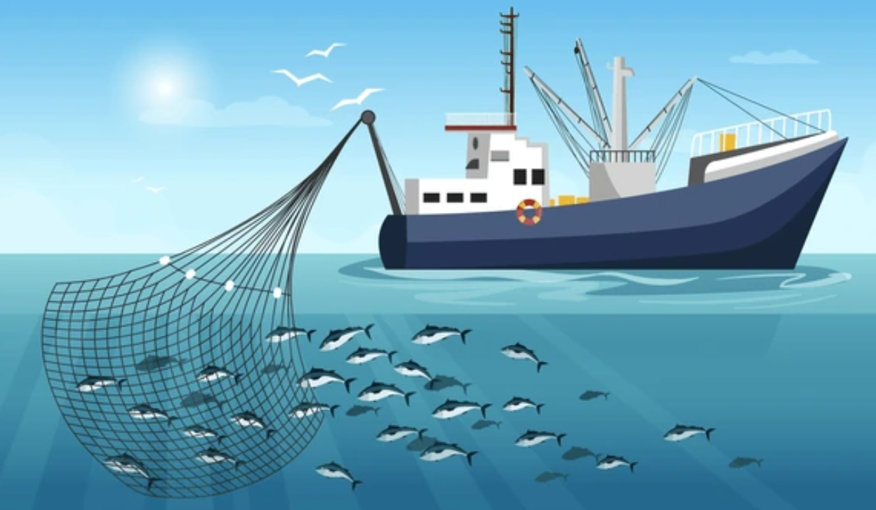 Commercial Fishing Vessels