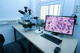 Digital Pathology