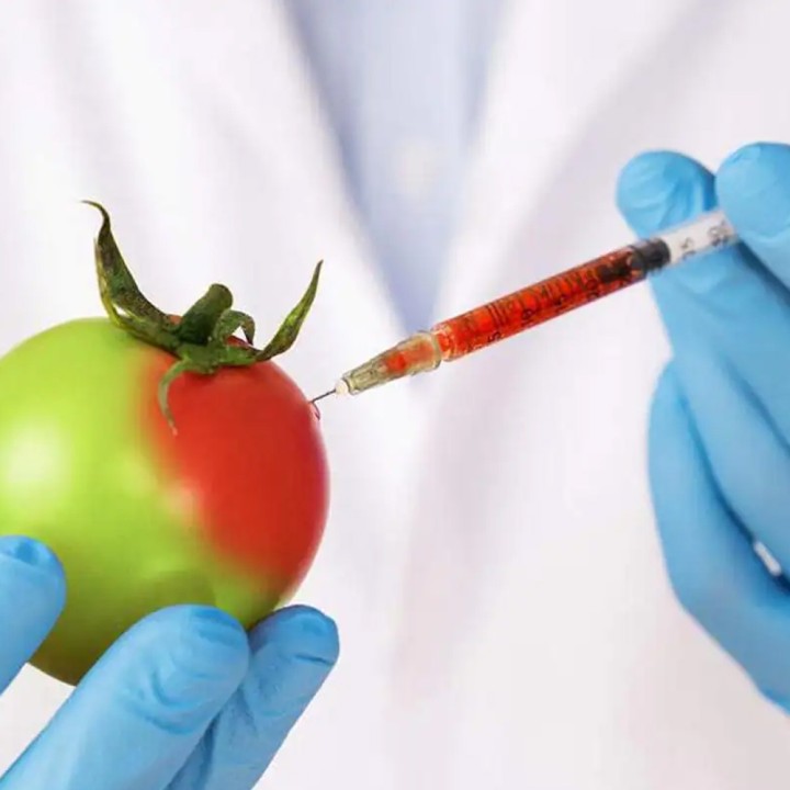 Food Biotechnology