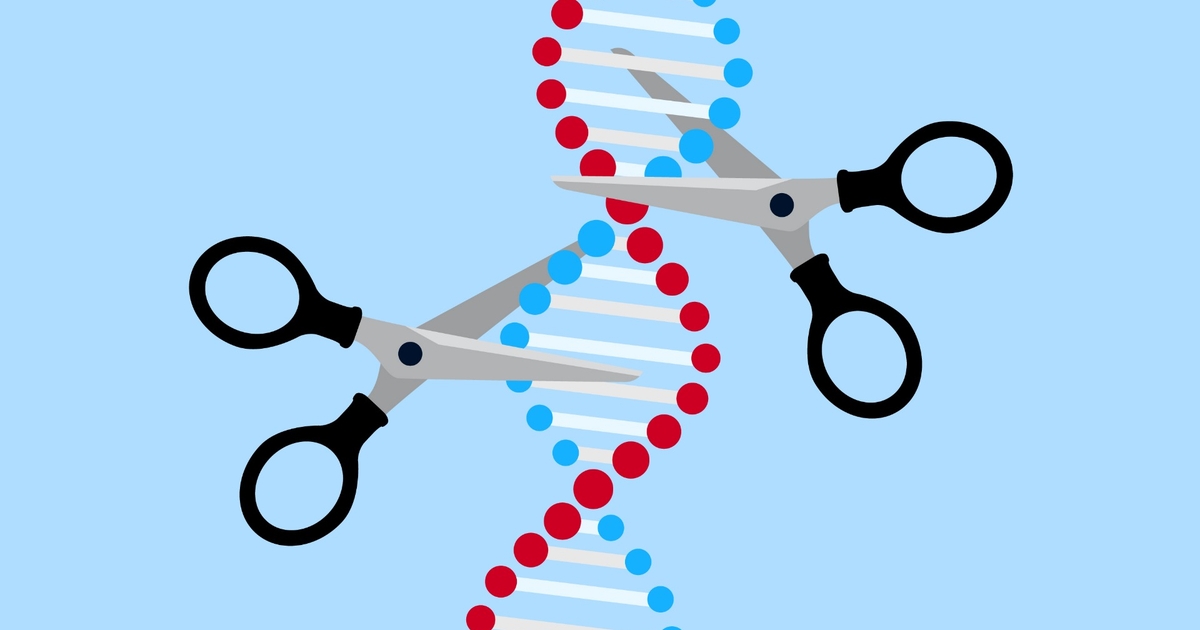 Genome Editing