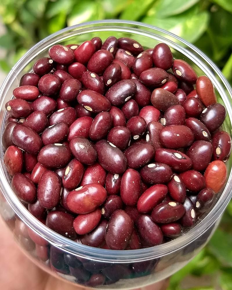 Kidney Beans