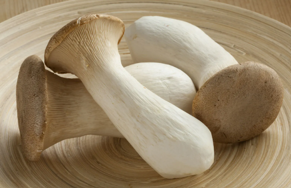 King Oyster Mushroom