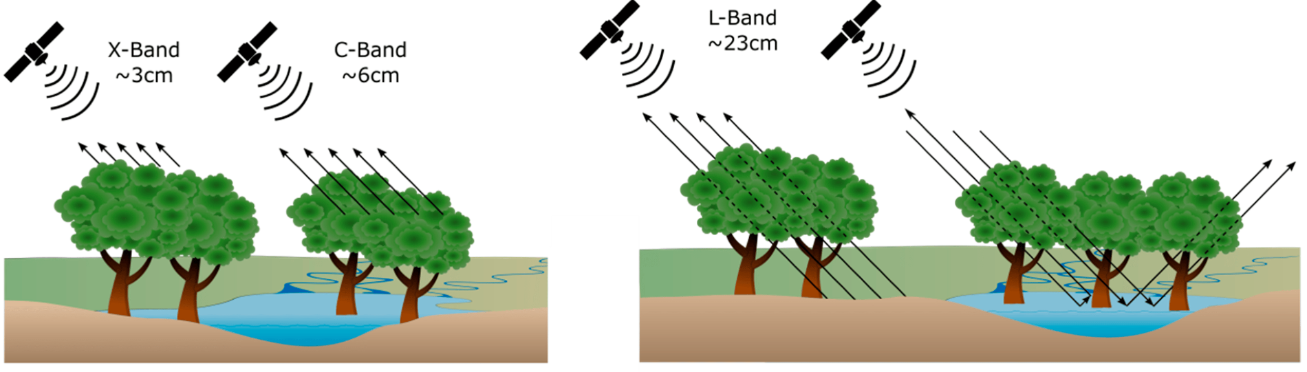 L Band Synthetic Aperture Radar