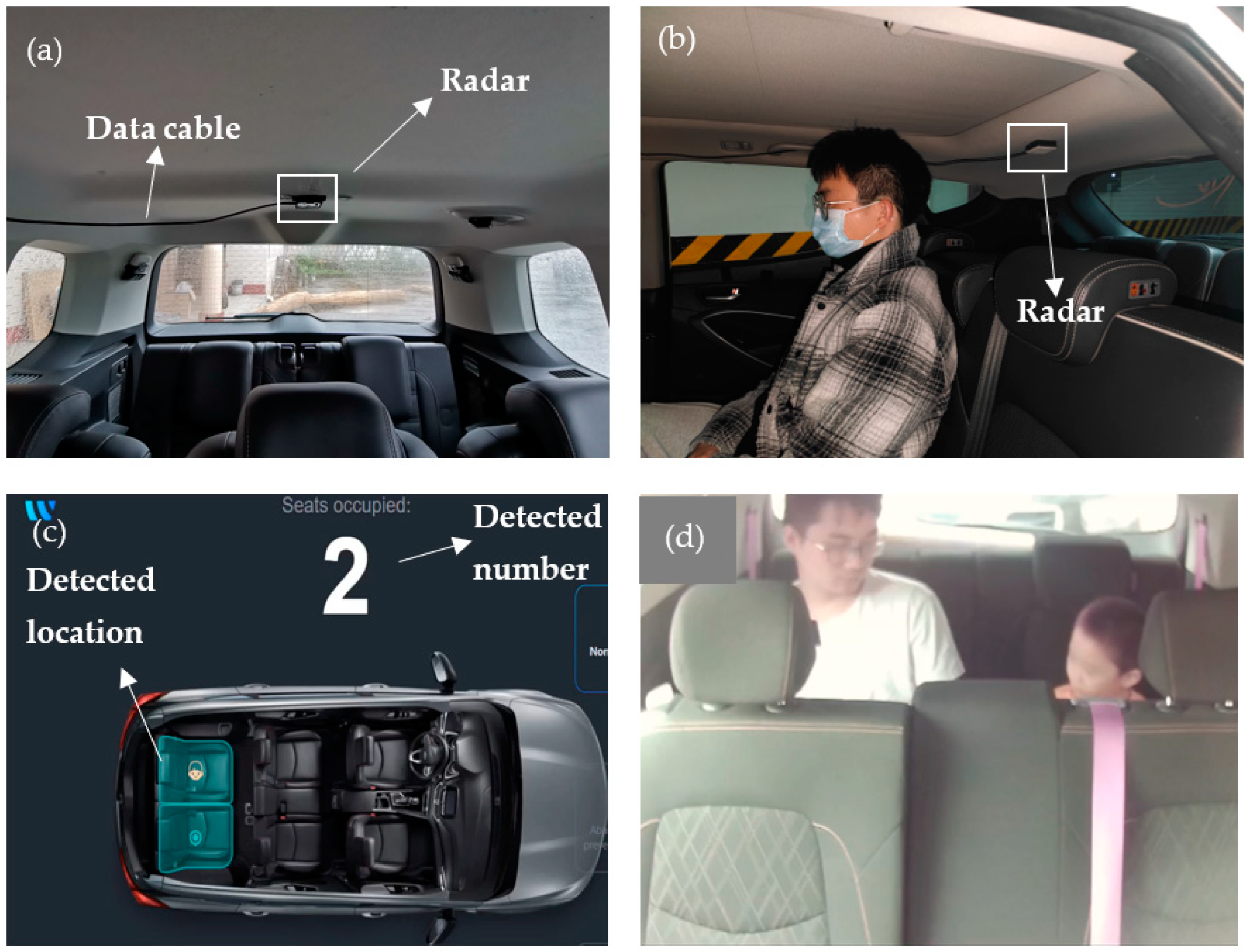 Light Vehicle Occupant Sensing System