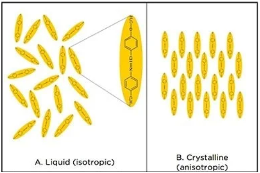 Liquid Crystal Polymers