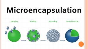 Microencapsulation