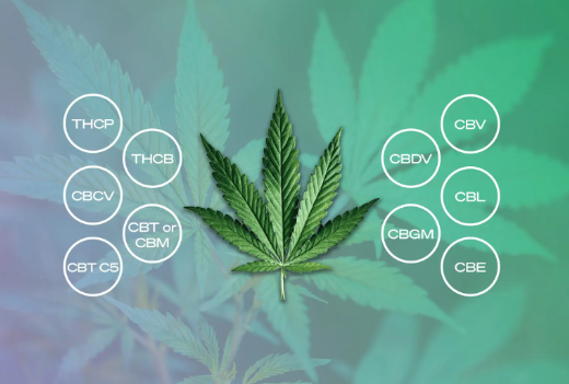 Minor Cannabinoids