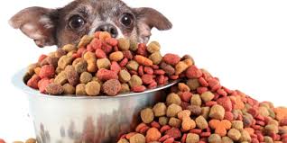 Natural and Organic Pet Food