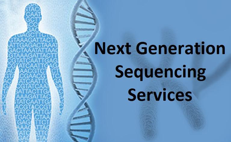 Next Generation Sequencing Ngs Service