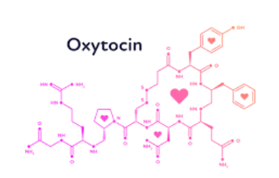 Oxytocin