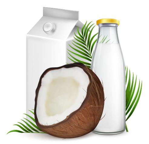 Packaged Coconut Milk
