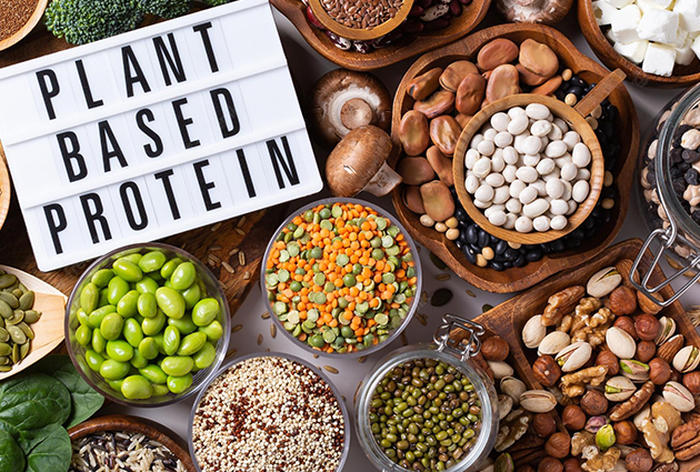 Plant Based Protein Supplements