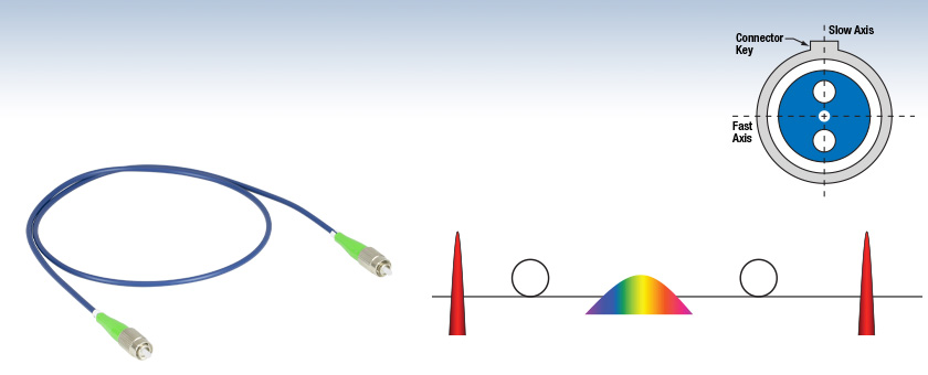 Polarization Maintaining Dispersion Compensating Fiber