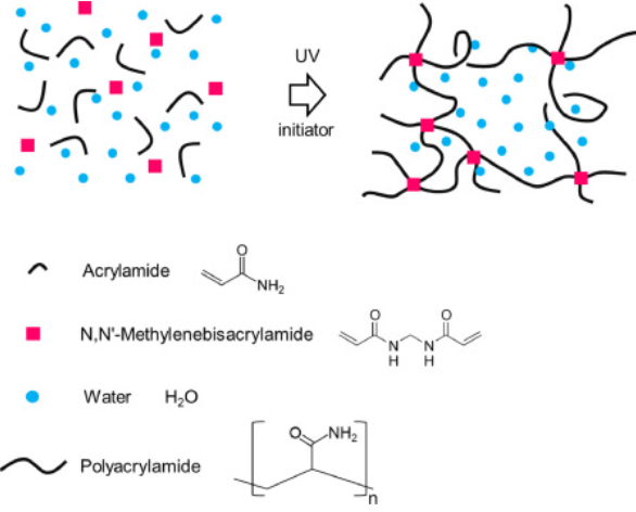 Polyacrylamide