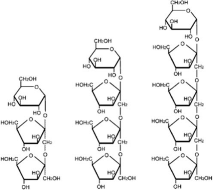 Short Chain Fructooligosaccharides