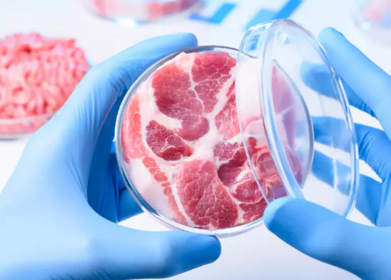 Synthetic (Cultured) Meat