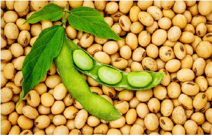 Soybean Oligosaccharides