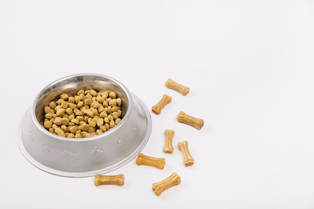 Veterinary Diet Dog Food