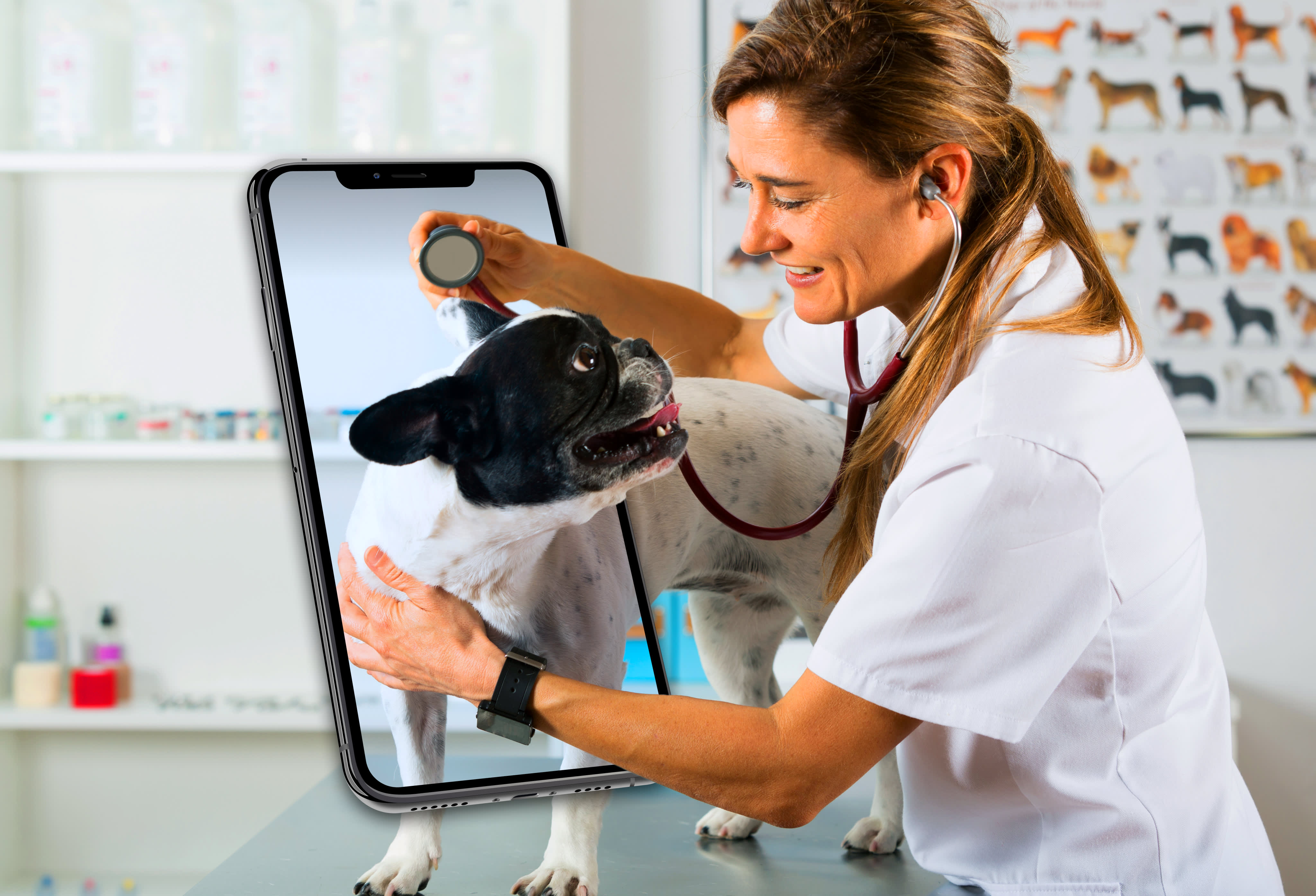 Veterinary Telehealth