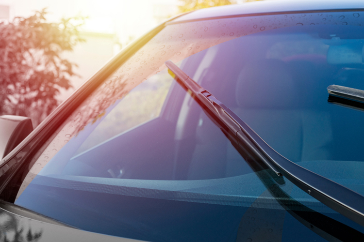 Car Windshield