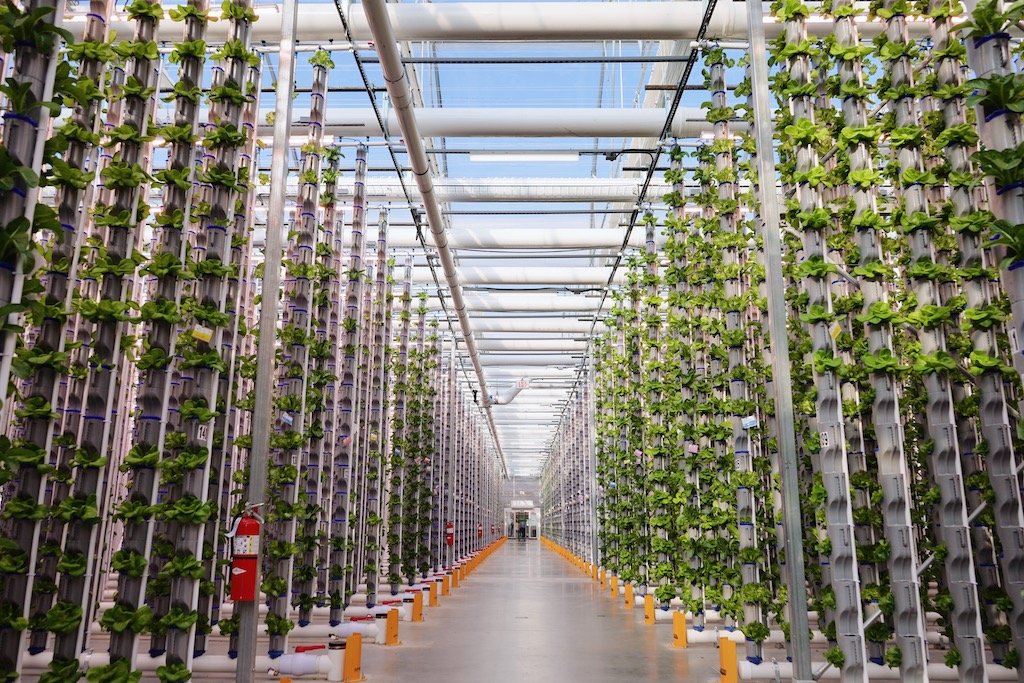 Indoor Farming