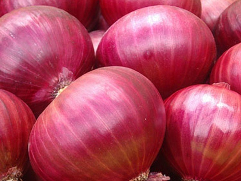 Fresh Onions