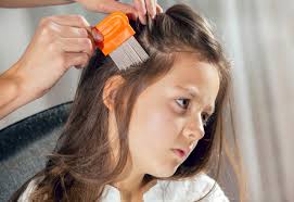 Head Lice Products