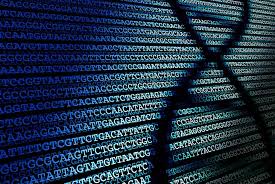 Next Generation Sequencing