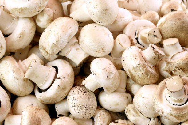 Organic Fresh Whole White Mushroom