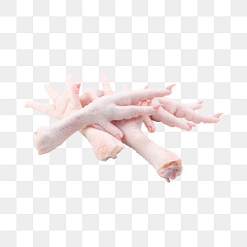 Raw Chicken Feet