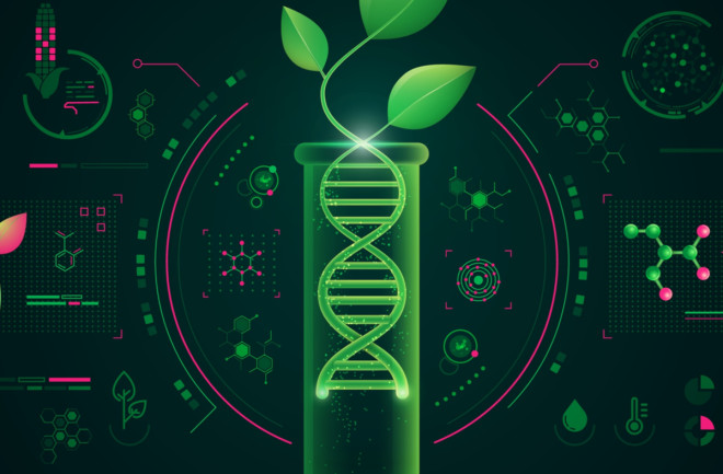 Gene Synthesis