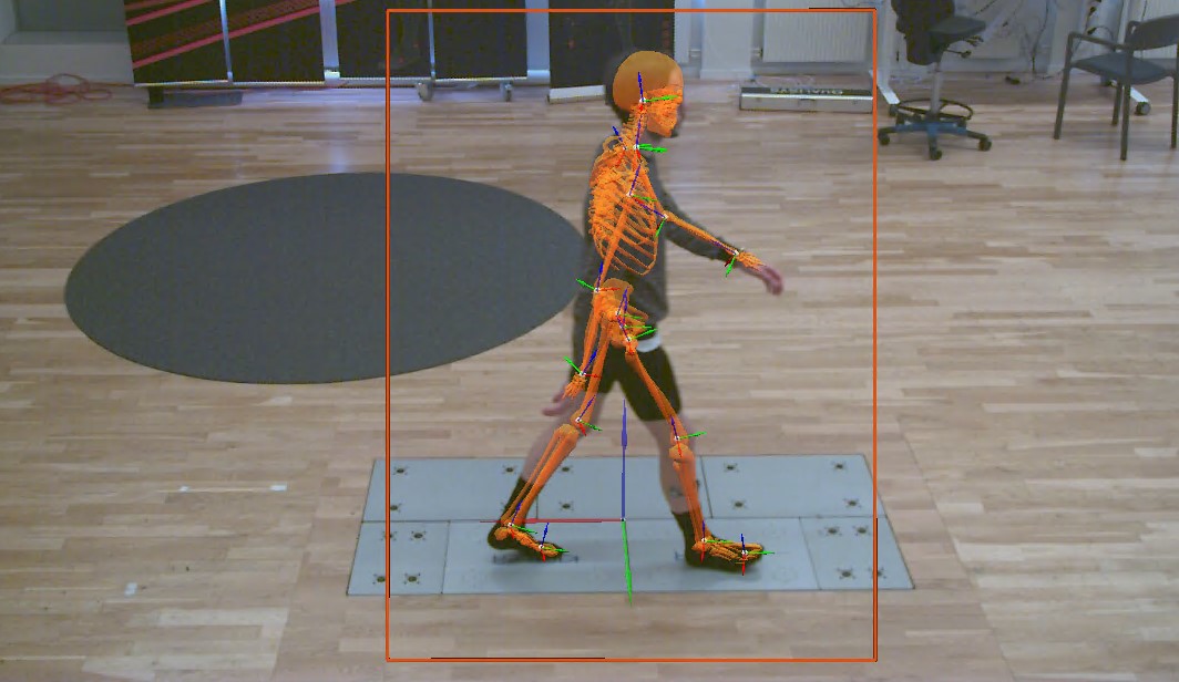 Markerless Motion Capture Software