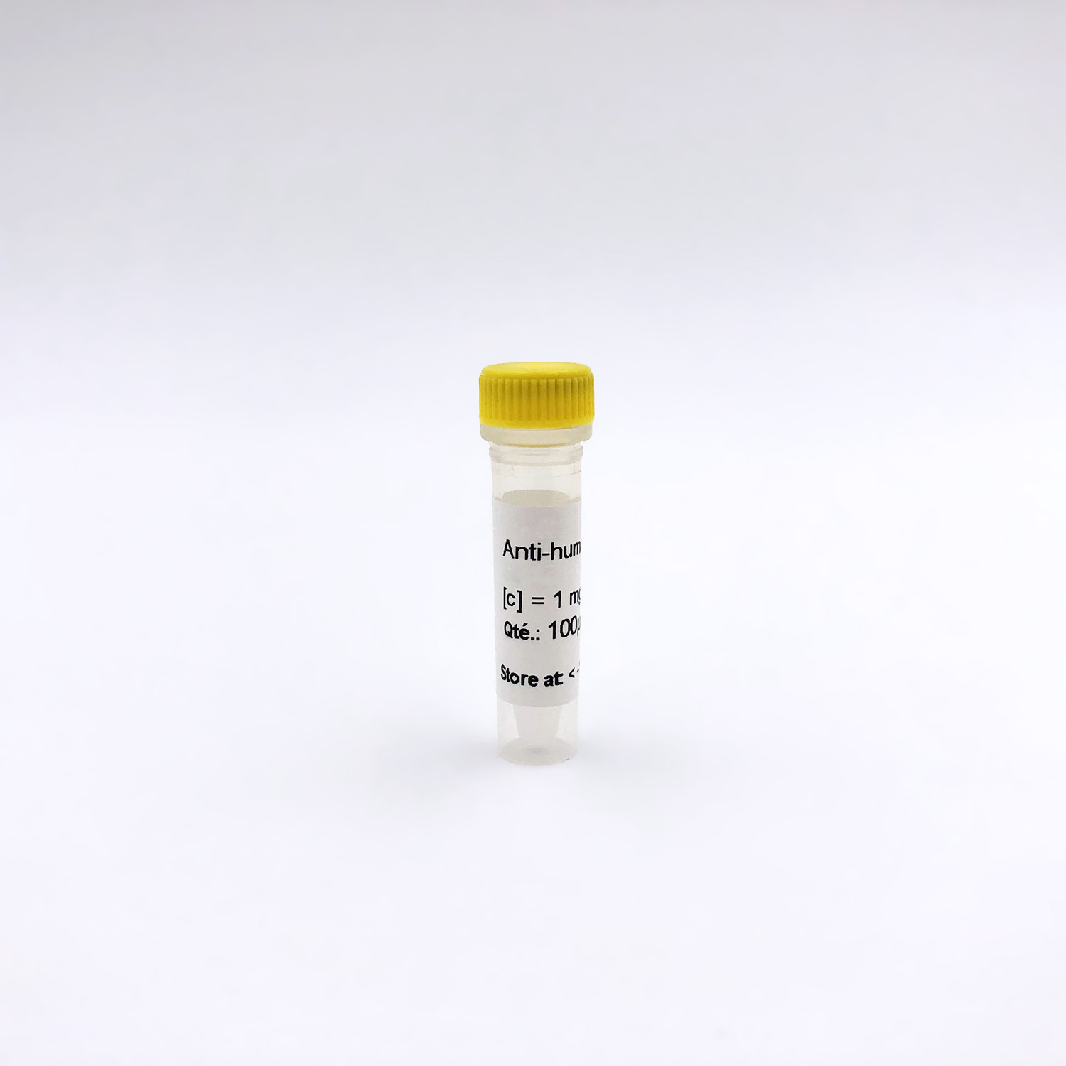 Anti-CRP Antibody