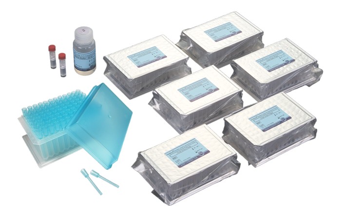 Nucleic Acid Sample Preparation Kit