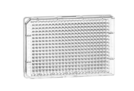 384-Well Microplates market