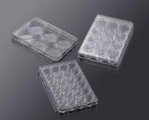 3D Cell Culture Dish Market