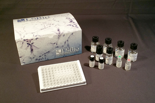 Anti-Islet cell antibody (ICA) ELISA Kit market