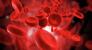 Artificial Blood Cells