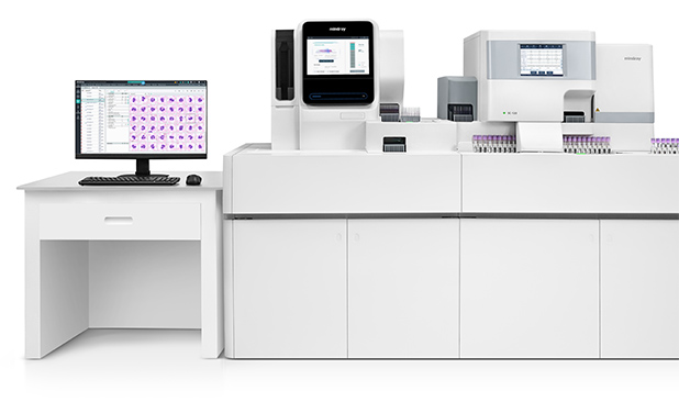 Automatic Cell Morphology Analyzer