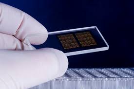 Biochips (Microarrays/Microfluidics