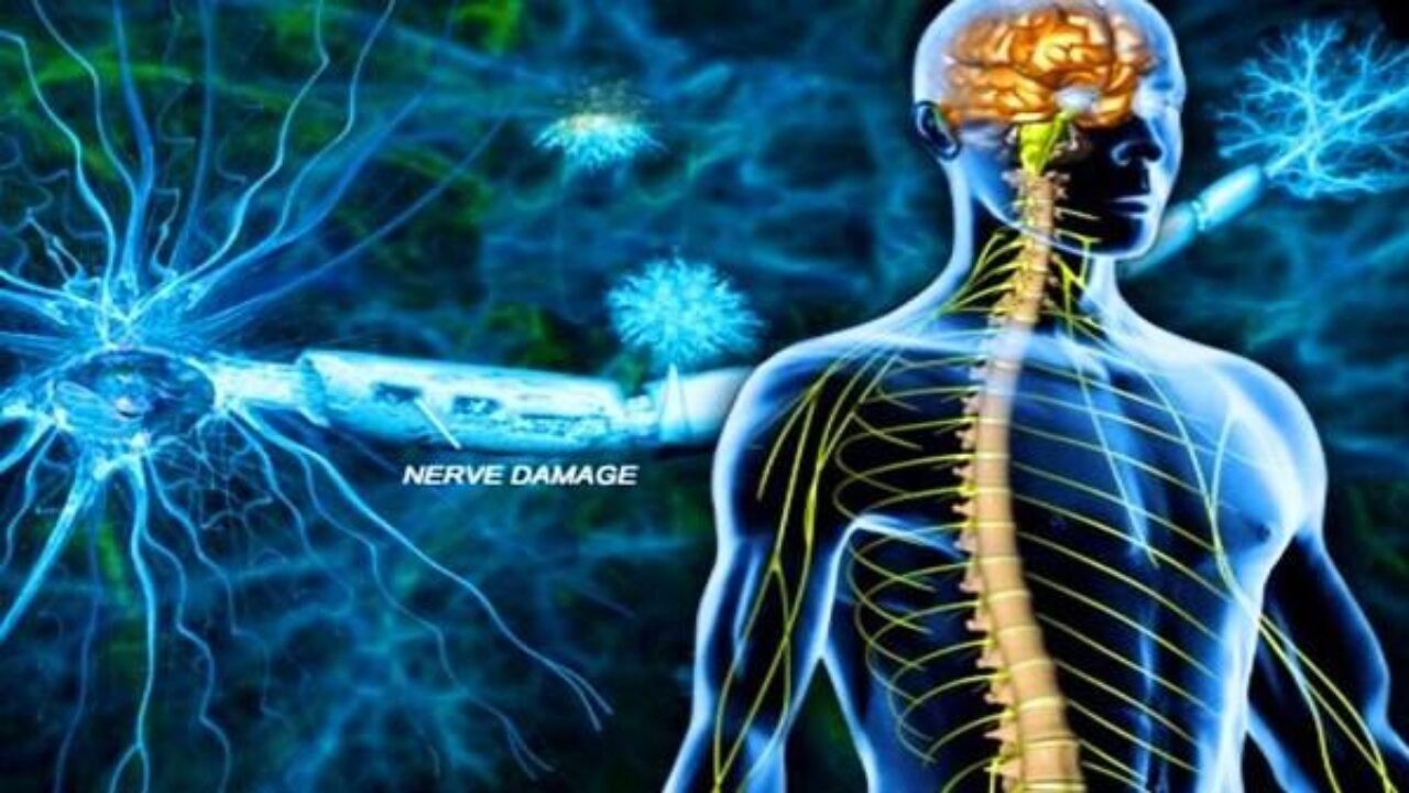 Biologic Products in Nerve Repair