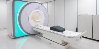 Brain PET-MRI Systems