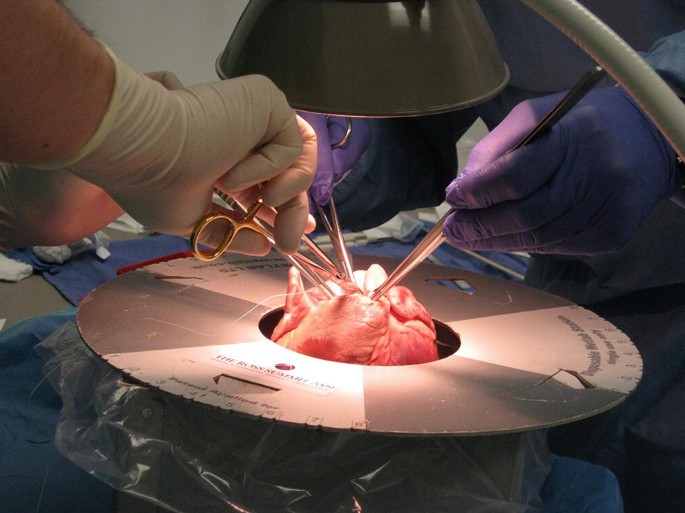 Cardiac Surgery Simulator Market
