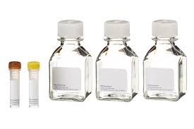 Caspase-3 Colorimetric Assay Kits