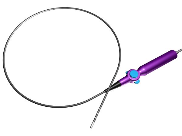 Catheter for Electrophysiology (EP) Ablation market